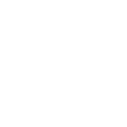 icon-ambassador